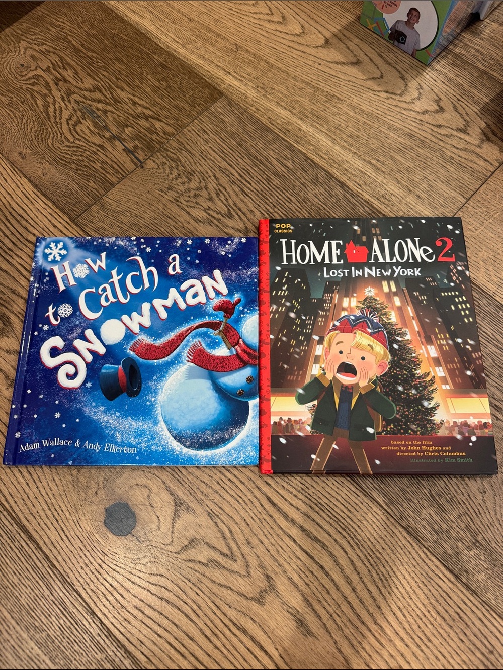 How to Catch a Snowman + Home Alone 2 Picture Books - Blue & Black Covers